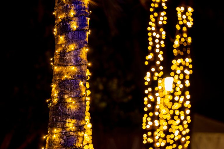 Professional lighting project