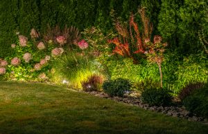 Beautiful Mature Backyard Garden Illuminated by LED Outdoor Lighting