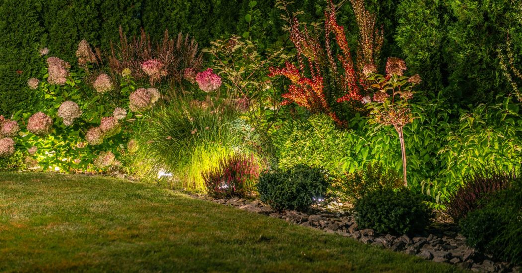 Beautiful Mature Backyard Garden Illuminated by LED Outdoor Lighting