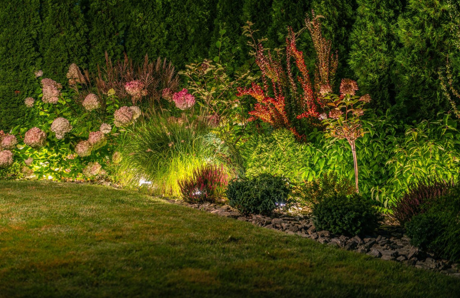 Backyard garden lit at night by low LED landscape lights