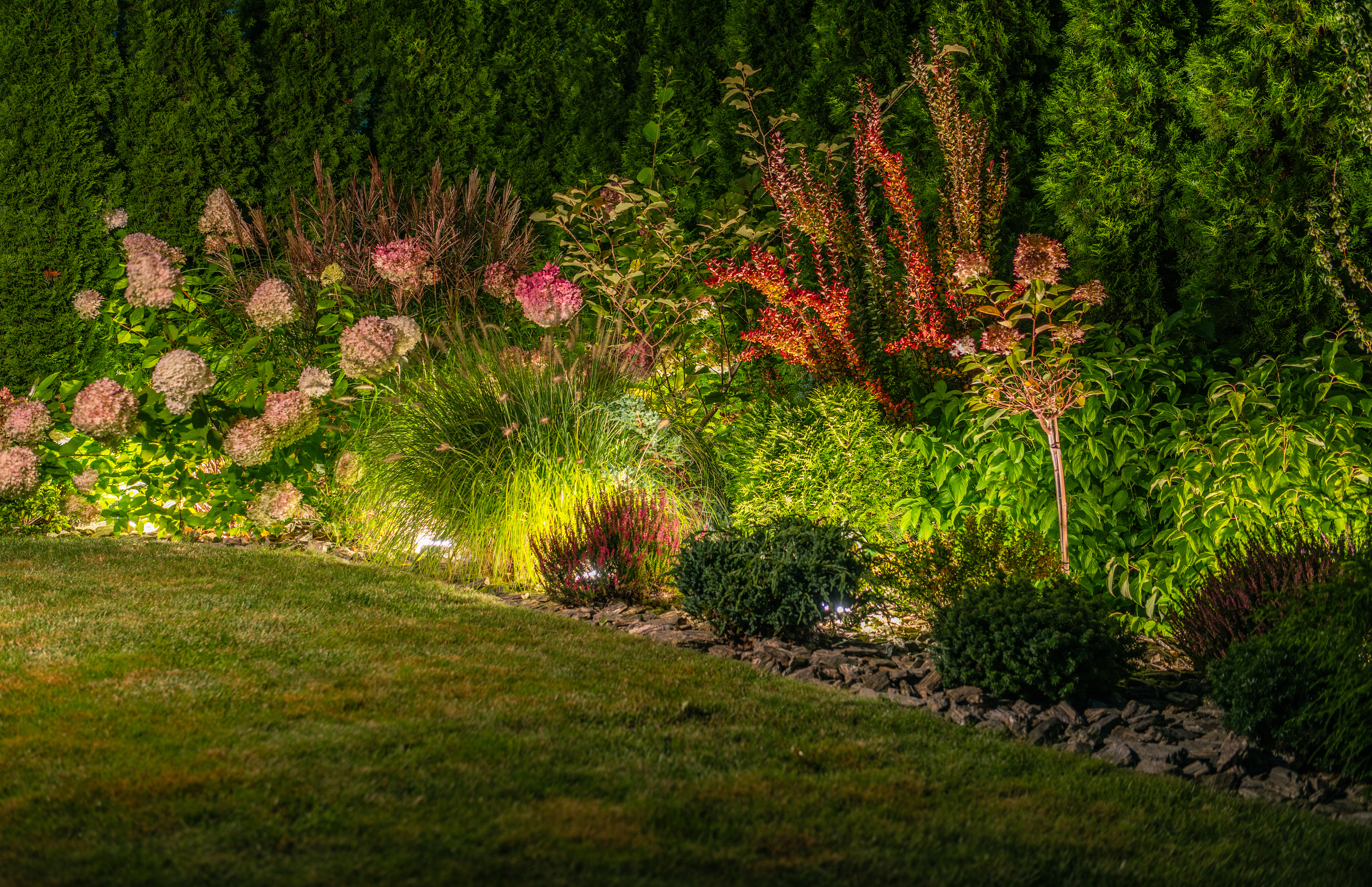 Garden bed illuminated by low-voltage LED landscape lighting