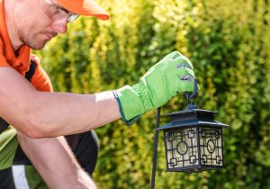 Garden Lantern Installation by Professional Gardener. Backyard Decoration Element.