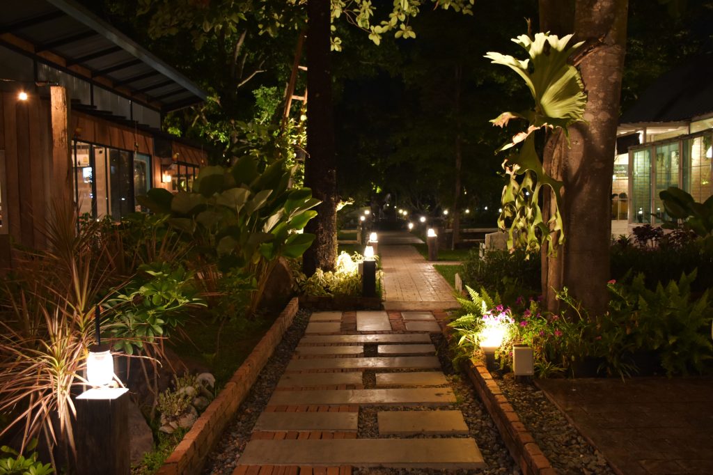 Garden walkway lit by low path lights at night