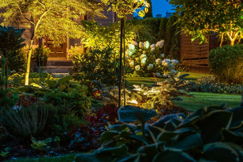 Small garden lit by LED lights at night